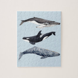 Orca, ballena jorobada y ballena gris legpuzzel