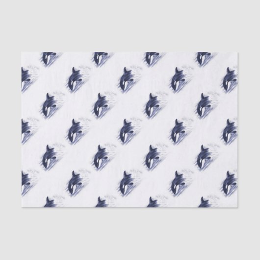 Orca Bbereikblauw Tissuepapier (Voorkant)