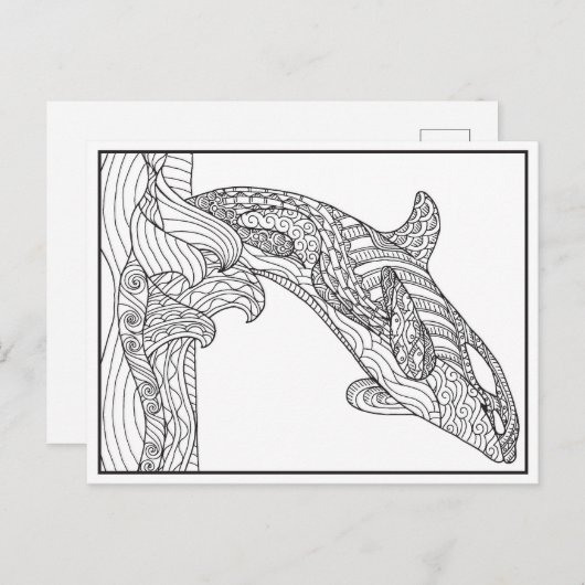 Orca Black en White Briefkaart (Voorkant / Achterkant)