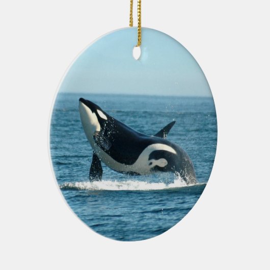 Orca Breach Ornament (Rechts)