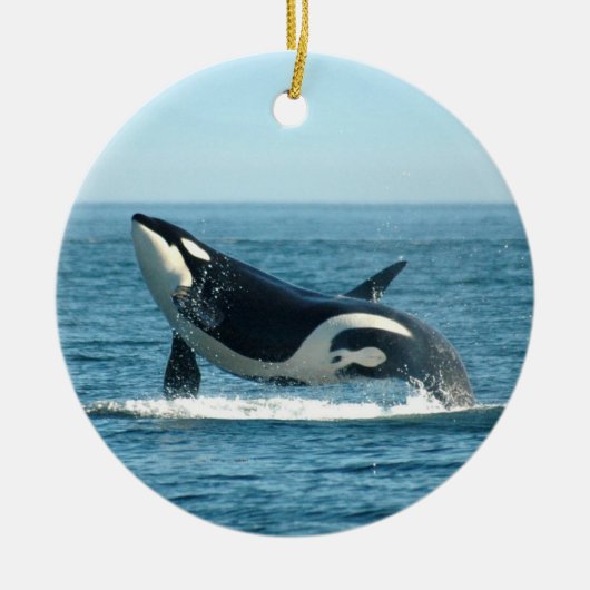 Orca Breach Ornament (Voorkant)