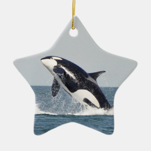 Orca Breach Ornament 2 (Voorkant)