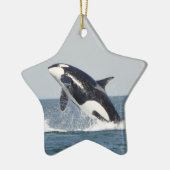 Orca Breach Ornament 2 (Links)