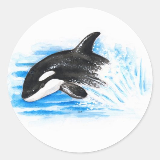 Orca Breiking Ronde Sticker (Voorkant)