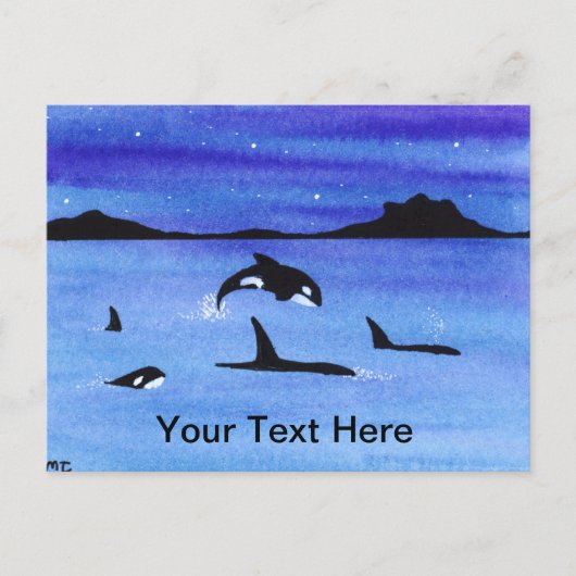 Orca Briefkaart (Voorkant)
