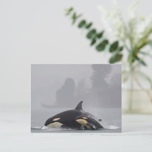 Orca Briefkaart (Staand voorkant)
