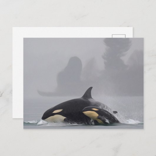 Orca Briefkaart (Voorkant / Achterkant)