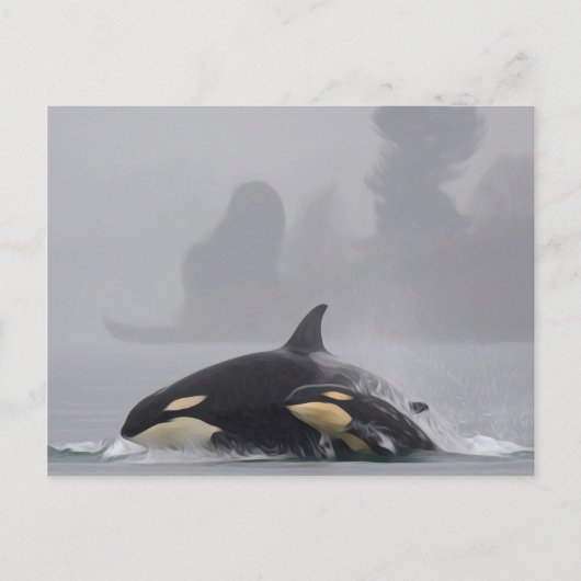 Orca Briefkaart (Voorkant)