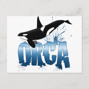 Orca Briefkaart