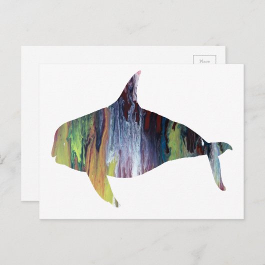 Orca Briefkaart (Voorkant / Achterkant)