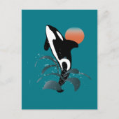Orca Briefkaart (Voorkant)