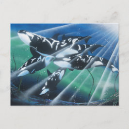 Orca Briefkaart