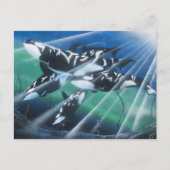Orca Briefkaart (Voorkant)