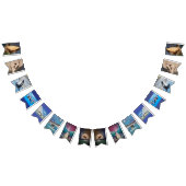 Orca Bunting Banner (Alle)