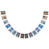 Orca Bunting Banner (Alle)