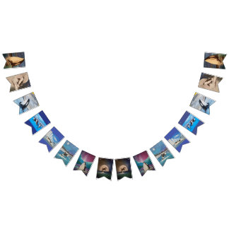 Orca Bunting Banner