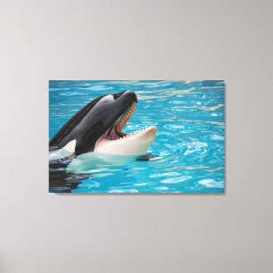 Orca canvas afdruk
