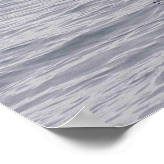 Orca, dodelijke walvis, breekt poster (Hoek)