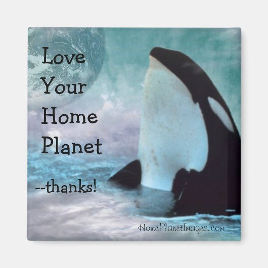Orca Earth / Love Your Home Planet Magnet (Voorkant)