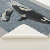 Orca en Calf Sherpa Deken (3/4)