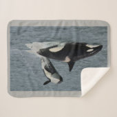 Orca en Calf Sherpa Deken (Voorkant (horizontaal))
