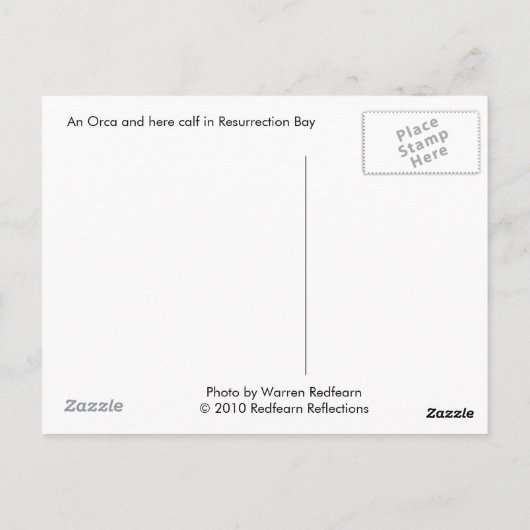 Orca en kalf, Alaska Briefkaart (Achterkant)