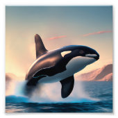 Orca Foto Afdruk (Voorkant)