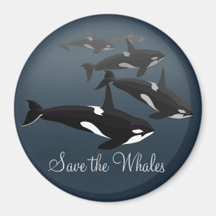 Orca Fridge Magnet Custom Killer Whale Art Magnet