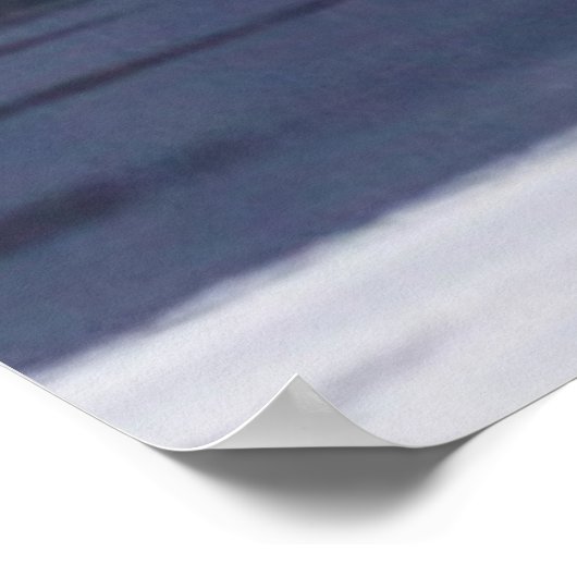 Orca | Het doden van walvissen Poster (Hoek)