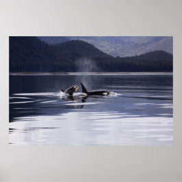 Orca | Het doden van walvissen Poster