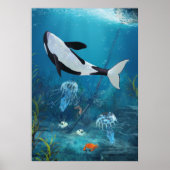 Orca II Poster (Voorkant)