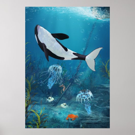 Orca II Poster (Voorkant)