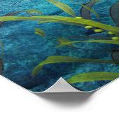 Orca II Poster (Hoek)