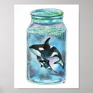 Orca in de pot poster
