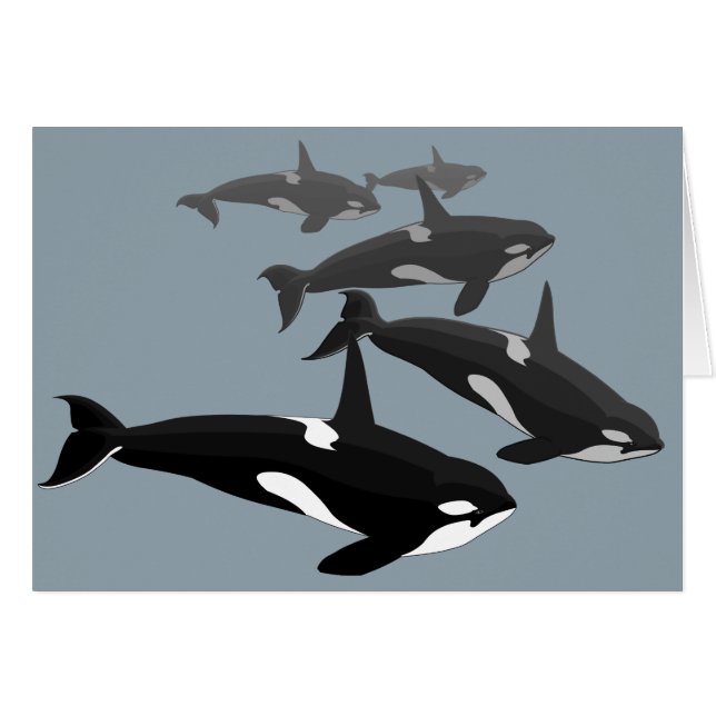 Orca Kaarten - Gepersonaliseerde Killer Whale Art  (Voorkant Horizontaal)