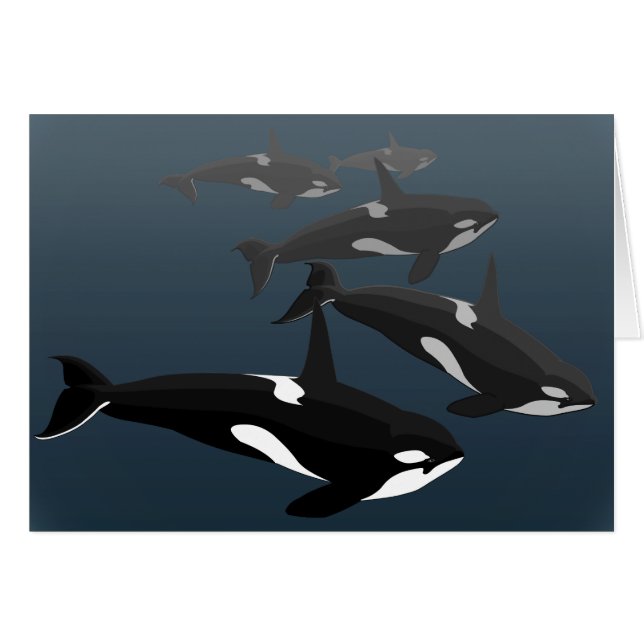 Orca Kaarten personaliseren Killer Whale Art Kaart (Voorkant Horizontaal)