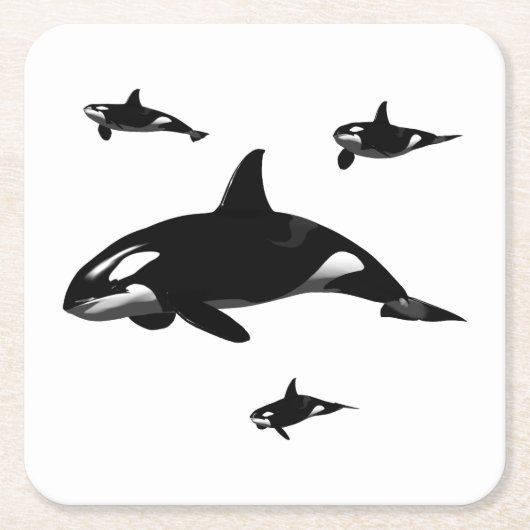 Orca Kartonnen Onderzetters (Voorkant)