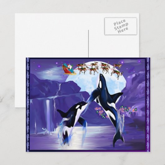 Orca Kerstmis Feestdagenkaart (Voorkant / Achterkant)
