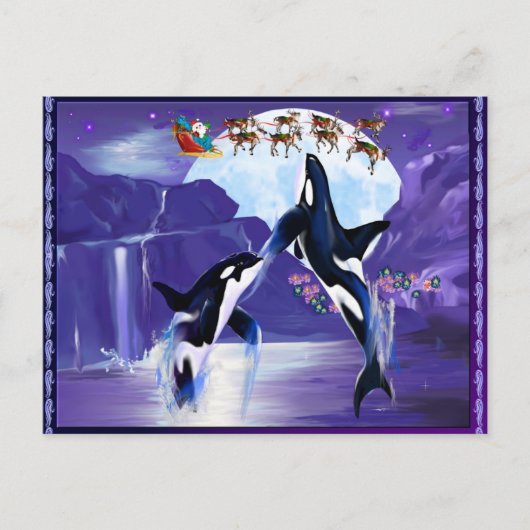 Orca Kerstmis Feestdagenkaart (Voorkant)