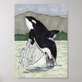 Orca/Killer Whale 5x7 Poster (Voorkant)