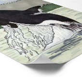 Orca/Killer Whale 5x7 Poster (Hoek)