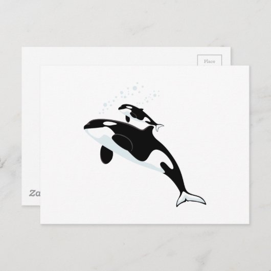 Orca Killer Whale Briefkaart (Voorkant / Achterkant)