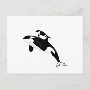 Orca Killer Whale Briefkaart