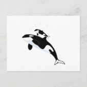 Orca Killer Whale Briefkaart (Voorkant)
