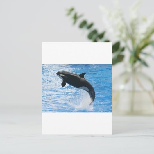 Orca Killer Whale Briefkaart (Staand voorkant)
