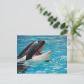 Orca, Killer Whale Briefkaart (Staand voorkant)