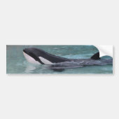 Orca...Killer Whale bumper sticker (Voorkant)