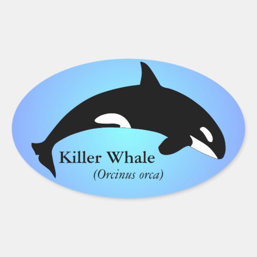 Orca Killer Whale Gradient Blue Ovale Sticker (Voorkant)