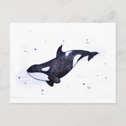 Orca Killer whale illustratie Briefkaart (Voorkant)
