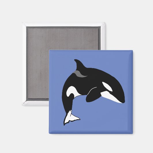 Orca Killer Whale Magneet (Voorkant / Achterkant)